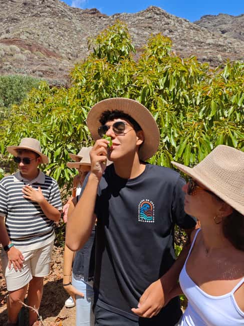 Tenerife: Avocado Farm Tour with Tasting Menu & Wine - Meeting the host at Finca Coviella