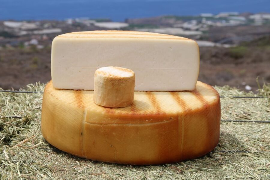 Tenerife - Farm Tour with Cheese Tasting - A tasting that moves from fresh to aged