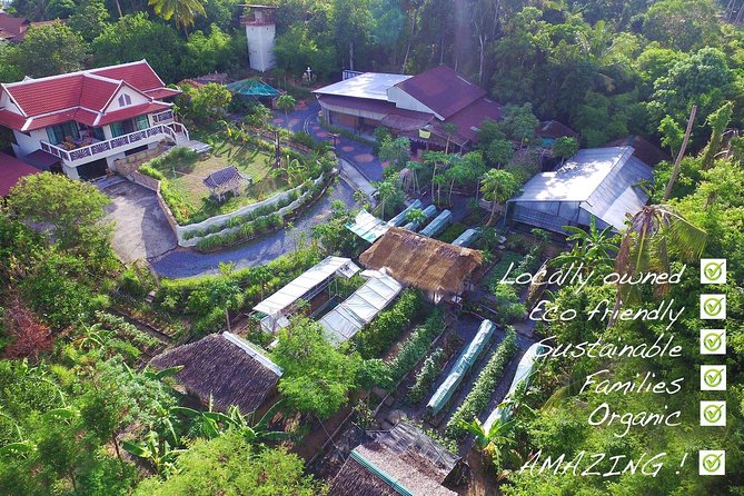 Thai Cooking Class | Since 2012 | Farm to Table - A lively teacher and a well-run kitchen