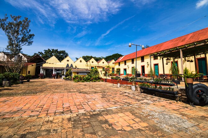 The Colors of Coffee in the Farms of Coatepec - Why this Veracruz day trip is worth your time
