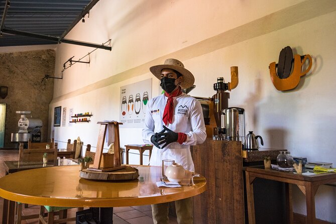 The Colors of Coffee in the Farms of Coatepec - Finca Roma Bola de Oro and the road from bean to cup