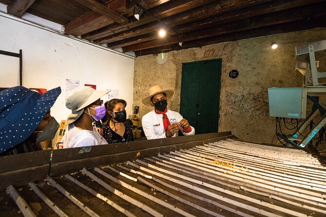 The Colors of Coffee in the Farms of Coatepec - Who will enjoy this experience most?