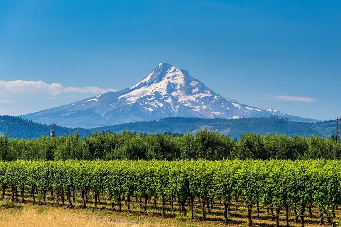 The Hood-Columbia Loop: Timberline, Orchards, and Waterfalls - Key points at a glance