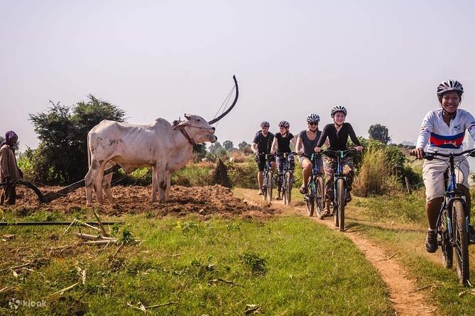 The Mekong Island Biking Tour and Lunch with farmers - Timing, weather, and practical planning