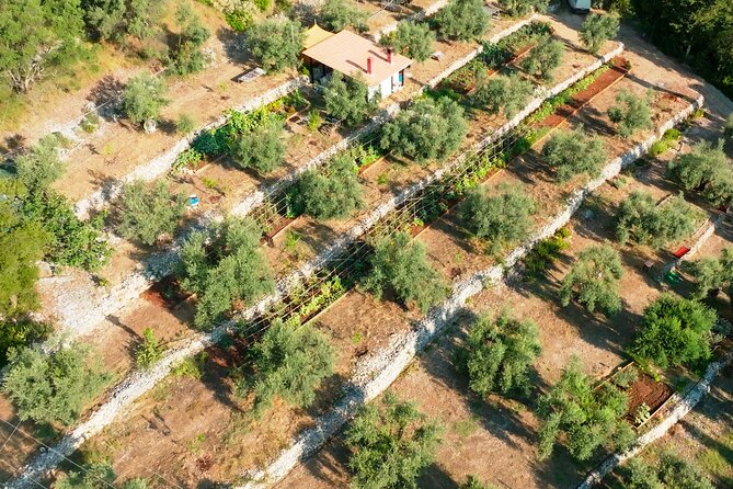 The Olive Oil Experience @ Lefkada Micro Farm - The Olive Oil ABC is the most practical takeaway