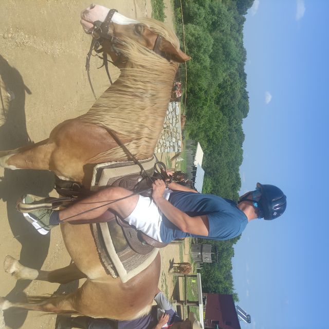 Thessaloniki:Horse Riding in a farm - FAQ