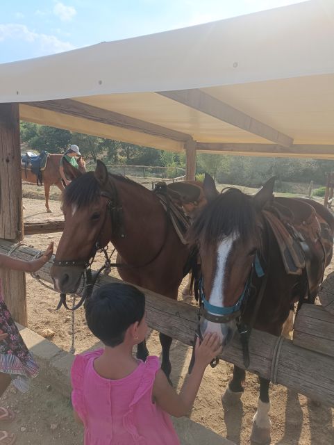 Thessaloniki:Horse Riding in a farm - Meeting the horses before the ride