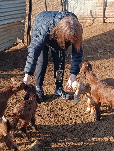 Thessaloniki: Visit a Farm and a traditional Village - A personal, question-friendly style