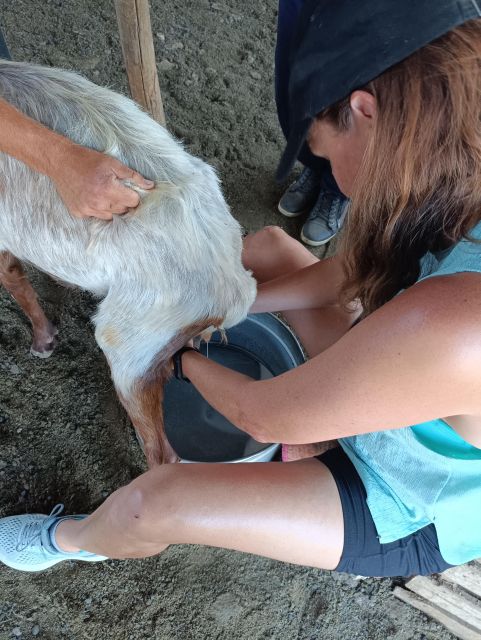 Thessaloniki: Visit a Farm and a traditional Village - Visiting the village where the host grew up