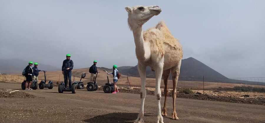 Tiscamanita: Segway Tour, Aloe Vera Farm & Mills Museum - Practical details that can make or break the day