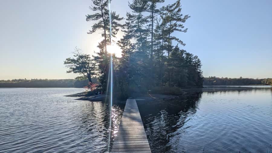 Toronto: Muskoka Cranberry Farm and Hardy Lake Hike - Why the cranberry marsh is worth the trip