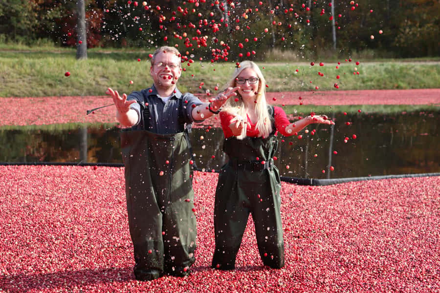 Toronto: Muskoka Cranberry Farm and Hardy Lake Hike - Gravenhurst is your chance to slow down