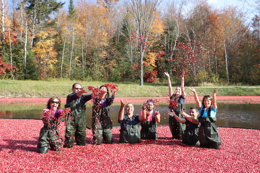 Toronto: Muskoka Cranberry Farm and Hardy Lake Hike - What the long van ride is really like