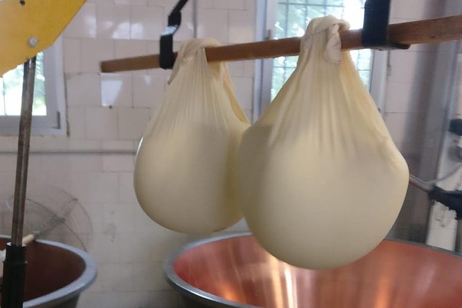 Tour Parmigiano Reggiano dairy and Parma ham - Into Langhirano for Prosciutto di Parma