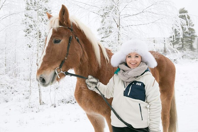 Tour to Aurora Horses Farm with Charming Finnhorses - Key points before you book