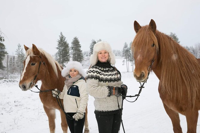 Tour to Aurora Horses Farm with Charming Finnhorses - Meeting a Finnhorse near Santa Claus Village