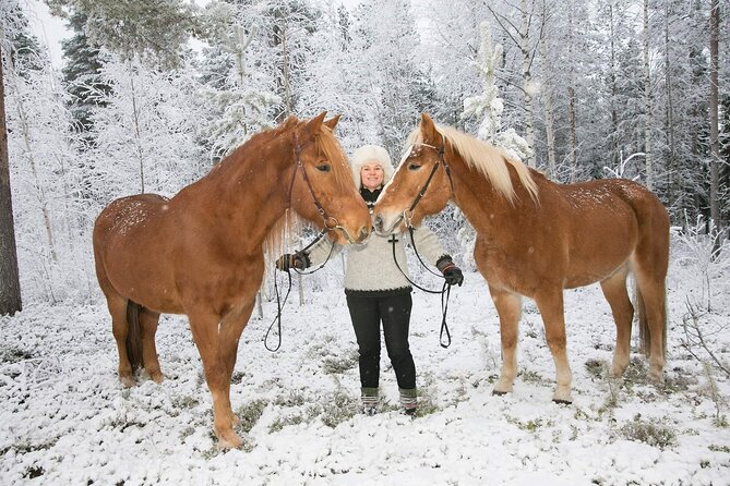 Tour to Aurora Horses Farm with Charming Finnhorses - The lead-rein ride lasts about ten minutes