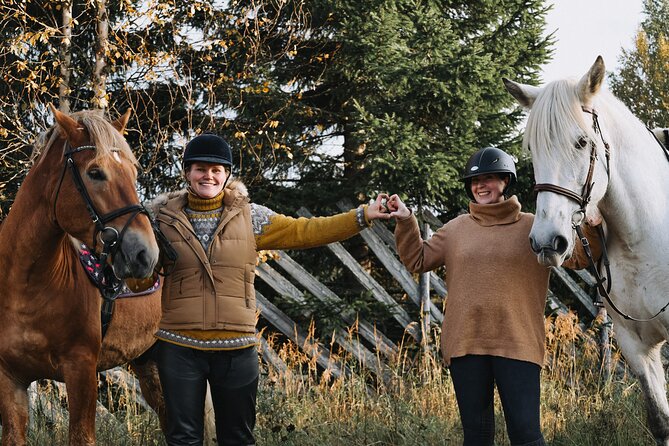 Tour to Aurora Horses Farm with Charming Finnhorses - Why the small group matters