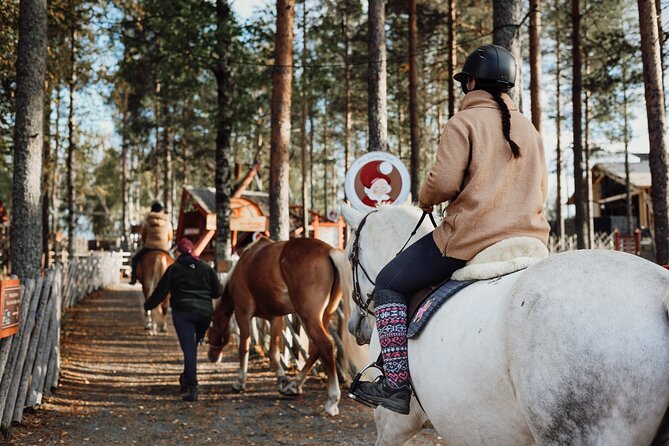 Tour to Aurora Horses Farm with Charming Finnhorses - Is 42.34 dollars a fair price?