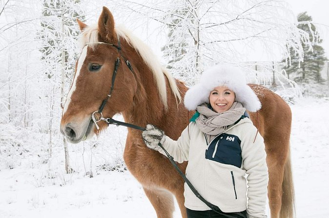 Tour to Aurora Horses Farm with Charming Finnhorses - Booking, weather, and cancellation details