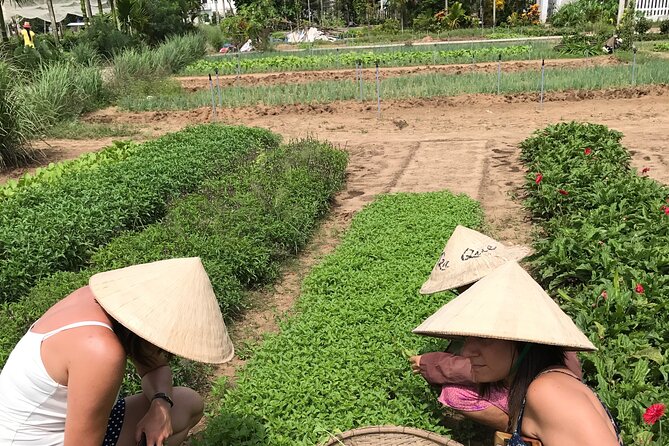 Tra Que Village Cycling And Farming - The countryside views are part of the experience