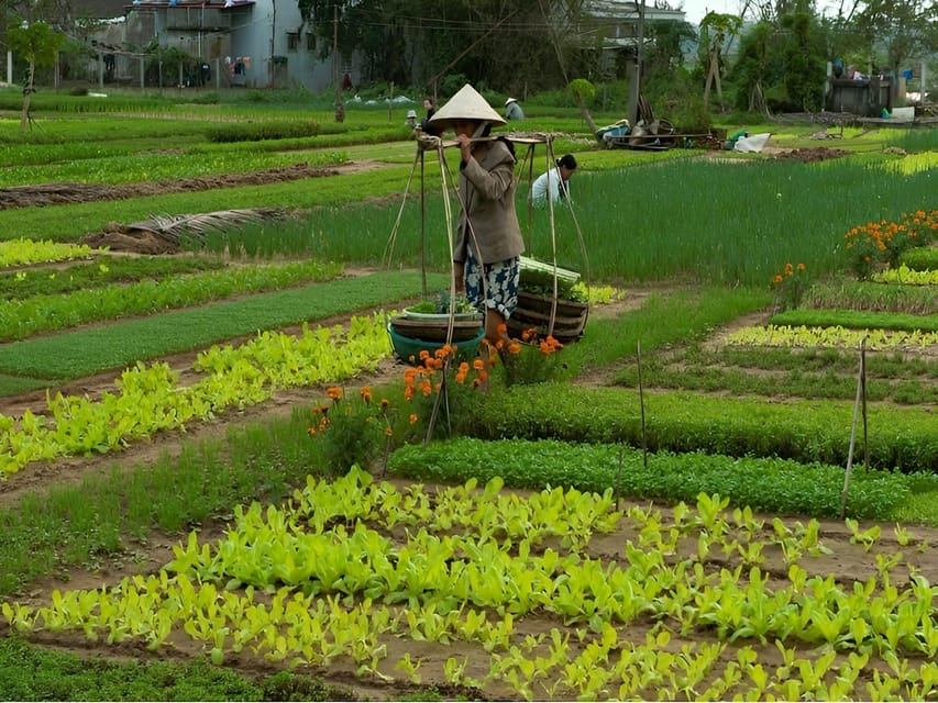 Tra Que Village Vegetable Farm Experience by Bike - Key points to know before booking