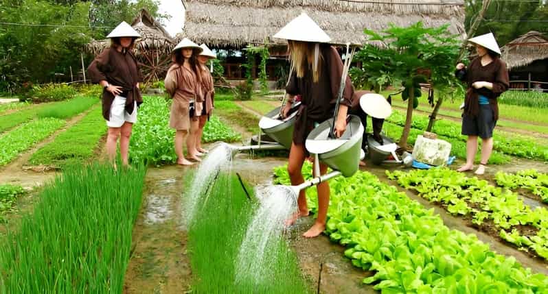 Tra Que Village Vegetable Farm Experience by Bike - From Hoi An lanes to Tra Que fields