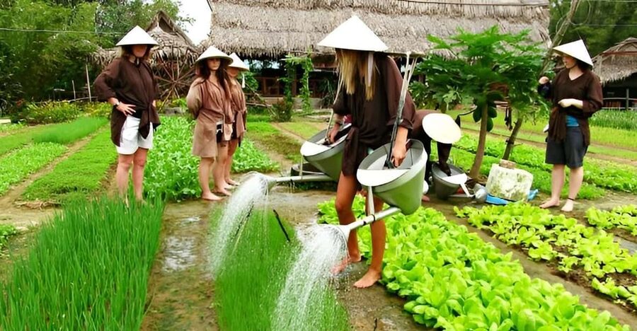 Tra Que Village Vegetable Farm Experience by Bike - É water and the quieter side of the garden