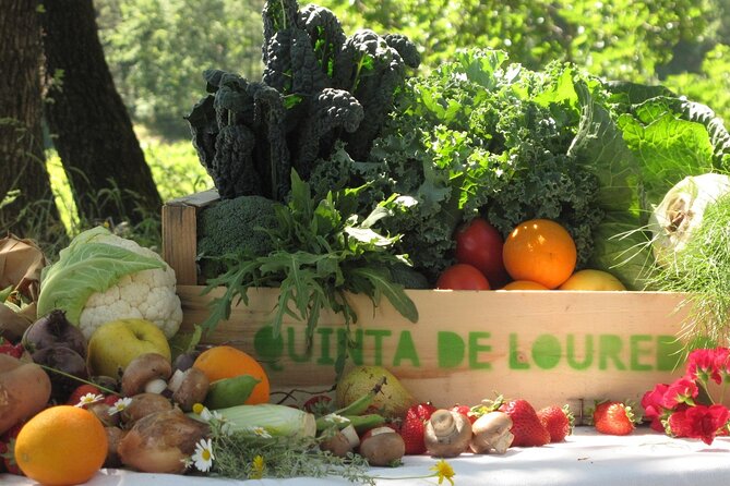 Traditional Cooking Class, Farm Tour & Lunch in the Douro Valley - Why this farm visit feels different from a standard cooking class
