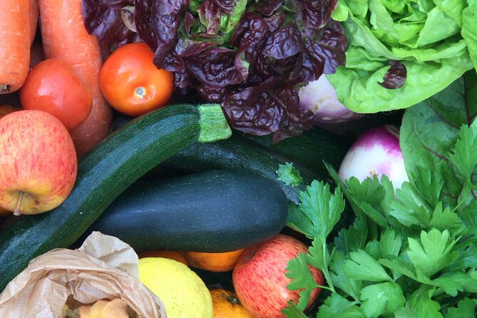Traditional Cooking Class, Farm Tour & Lunch in the Douro Valley - What the $179.02 price really covers