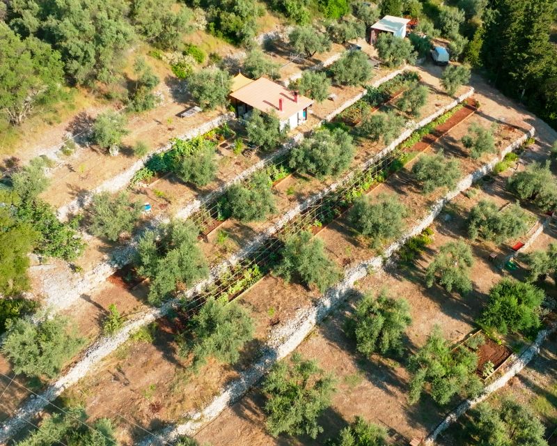 Traditional Greek Cooking Class @ Lefkada Micro Farm - What the $123 price includes