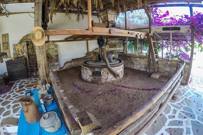Traditional Olive Oil Making at Spiridi Olive Oil Farm - Crete - Weighing and crushing the olives by hand