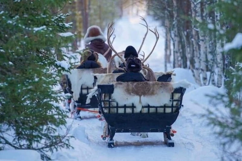 Traditional Reindeer Farm Visit with a Short Sleigh Ride - A traditional farm visit, not just a sleigh photo