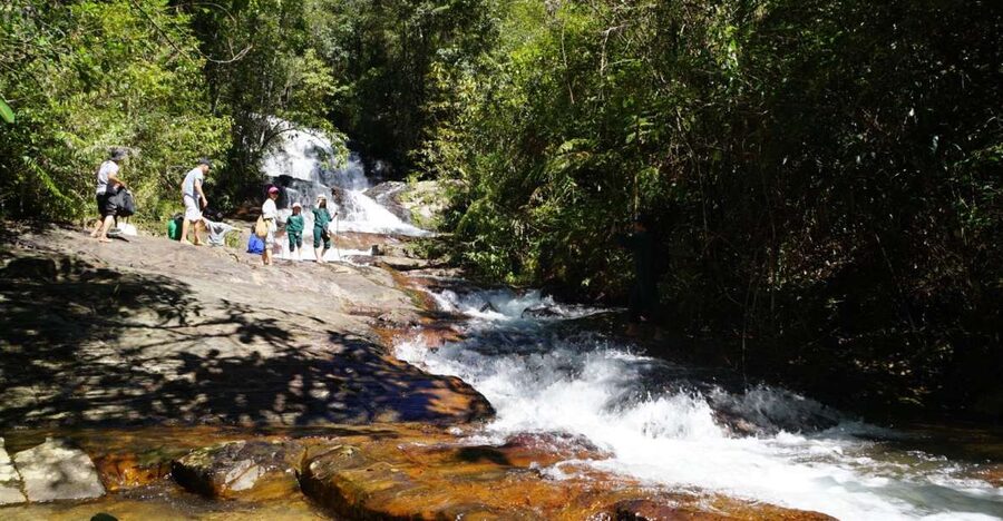 Trekking to Hidden Waterfall & Sturgeon Farm for dog-lovers - Why this $10 trek feels different from a standard Da Lat tour
