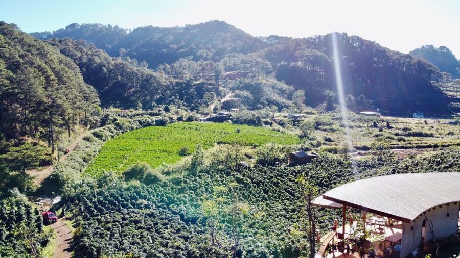 Trekking to Hidden Waterfall & Sturgeon Farm for dog-lovers - Starting at Twin Beans Farm
