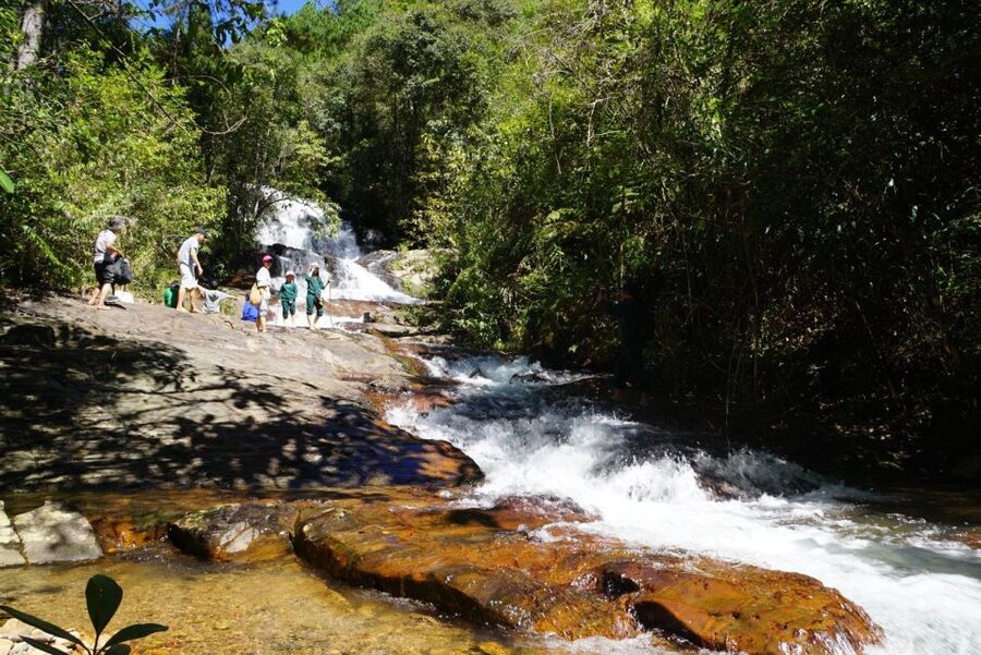 Trekking to Hidden Waterfall & Sturgeon Farm for dog-lovers - Walking through the forest with the farm dogs