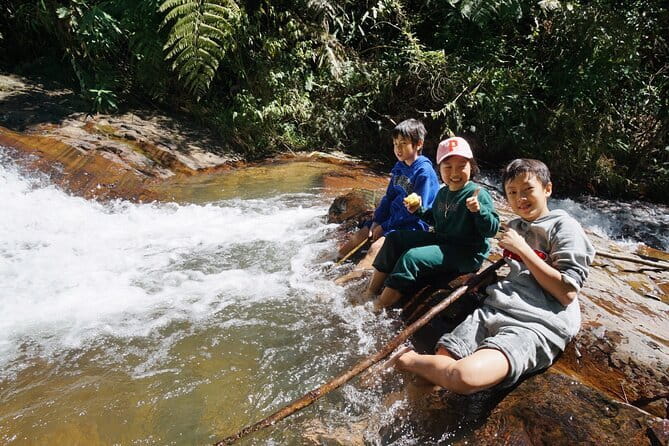 Trekking Tour to Hidden Waterfall & Sturgeon Farm for dog-lovers - Is $9.89 a good value?