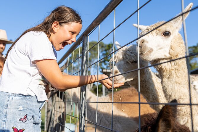 Trevena Glen Farm Animal Experience - Key points before you book