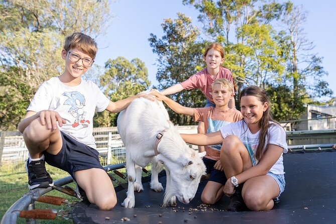 Trevena Glen Farm Animal Experience - What families can add to the visit