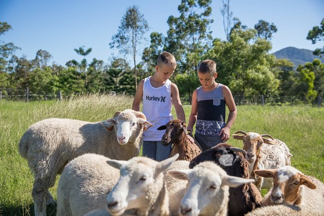 Trevena Glen Farm Animal Experience - Price, group size, and booking cautions