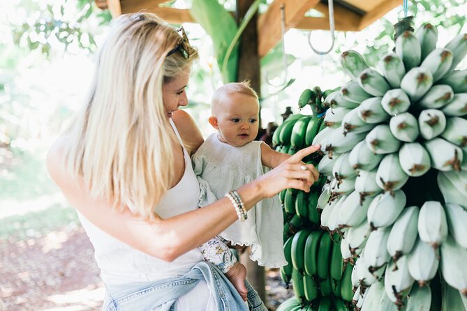 Tropical Fruit World Farm Full Tour - A working fruit farm, not a theme park