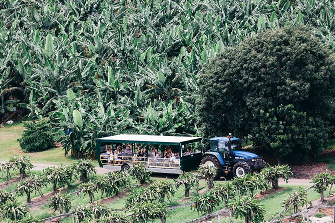 Tropical Fruit World Farm Full Tour - Fauna park and Aussie bush tucker