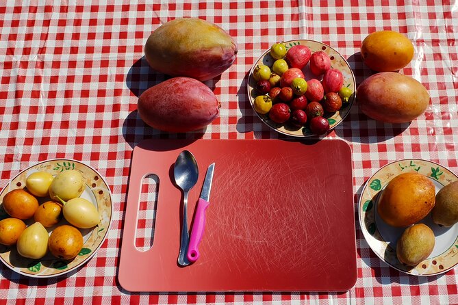 Tropical Tour: Avocado & Mango Farm - Small group and tasting - What you see at TROPS