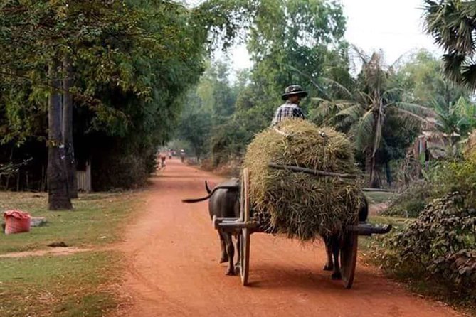 Tuk Tuk Journey: Exploring Rural Life and Silk Farm Craftsmanship - A quieter morning beyond Siem Reap’s temples
