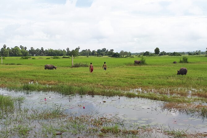 Tuk Tuk Journey: Exploring Rural Life and Silk Farm Craftsmanship - Why the private format matters