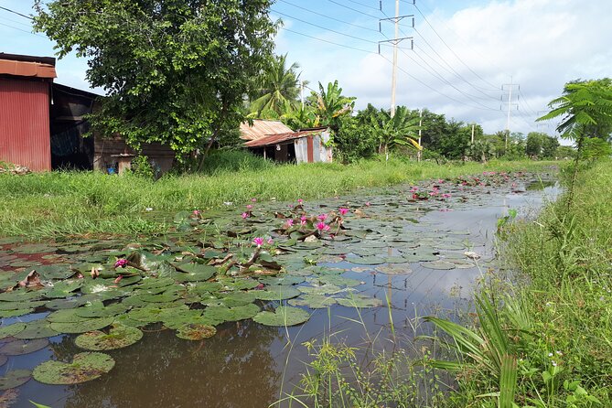 Tuk Tuk Journey: Exploring Rural Life and Silk Farm Craftsmanship - Should you book this Siem Reap silk farm tour?