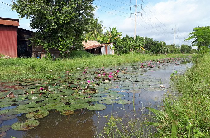 Tuk Tuk Journey: Exploring Rural Life and Silk Farm Craftsmanship - FAQ