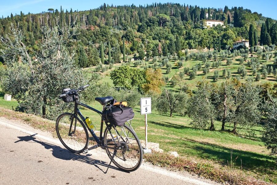 Tuscany Hills Bike Tour with Lunch at farm and Wine Tasting - Who should book this ride