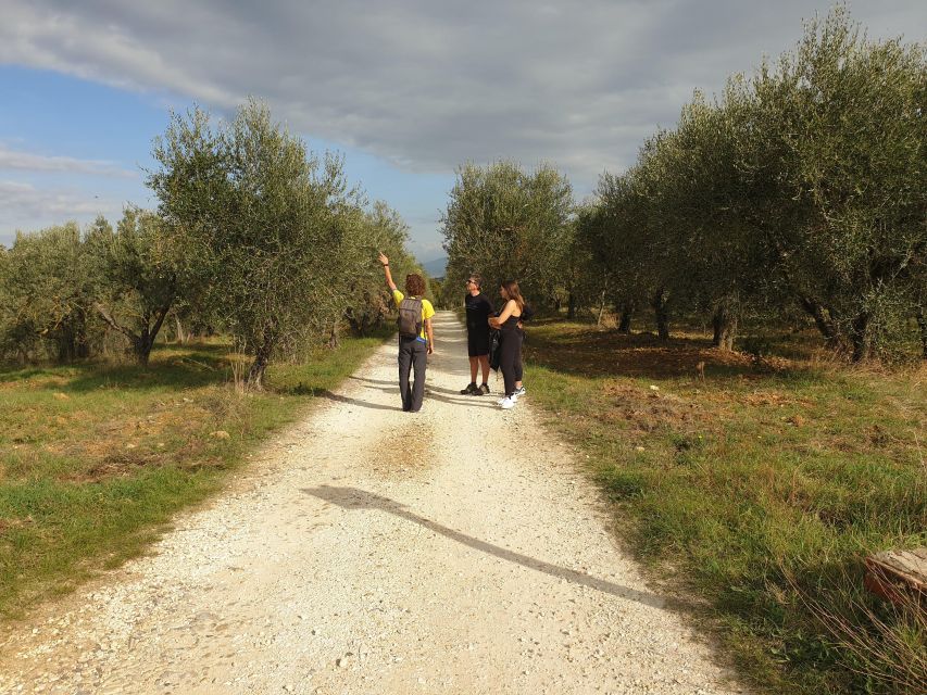 Tuscany Hills Bike Tour with Lunch at farm and Wine Tasting - Why the small group matters