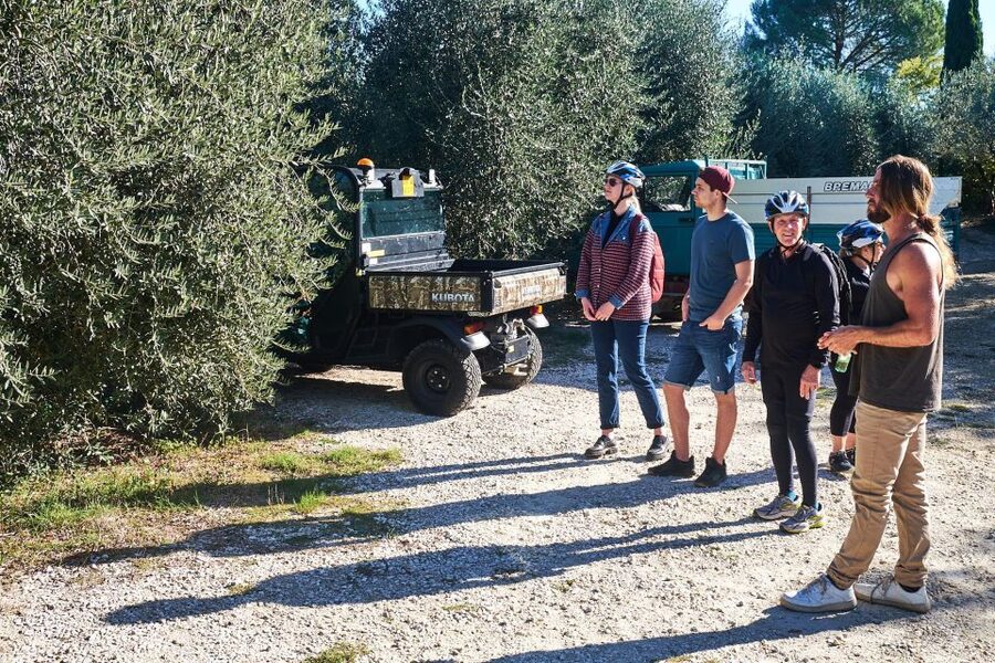 Tuscany Hills Bike Tour with Lunch at farm and Wine Tasting - The price and what you receive